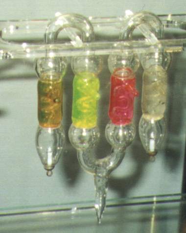 ausgeis.jpg (20100 bytes)