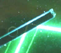 wpe13D.jpg (12233 bytes)