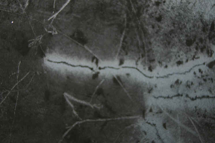 wpe12.jpg (281508 bytes)