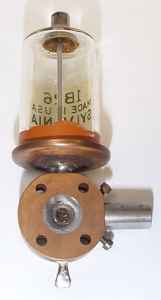 sylvgap.jpg (4321 bytes)