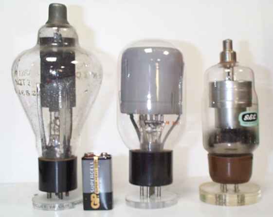 thy1.jpg (15152 bytes)